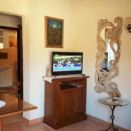 Apartment La Roza